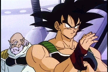 bardockputonarmband.jpg
